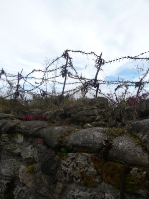 Trench And Barbed Wire Protecting It