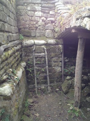 Trench At Vauquois